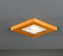 Потолочный светильник Reccagni Angelo SPOT 394/1.02 394