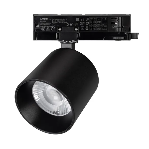 Светильник LGD-DYKE-4TR-R100-36W Day4000 (BK, 20 deg, 230V) Arlight 052137