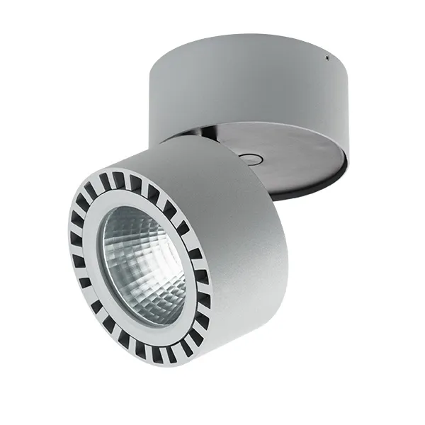 Уличные потолочные светильники Lightstar 381393 FORTE Уличные потолочные светильники Lightstar 381393 FORTE