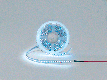 Светодиодная лента LUX RGB-светодиоды SWG DSG3A120-24-RGB-33