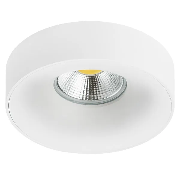 Встраиваемый Светильник Lightstar L01002020 LEVIGO Встраиваемый Светильник Lightstar L01002020 LEVIGO