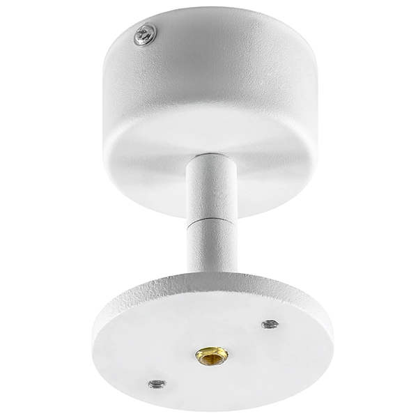 Потолочное крепление для светильников 21443Х/21448X Lightstar 590006 RULLO Потолочное крепление для светильников 21443Х/21448X Lightstar 590006 RULLO