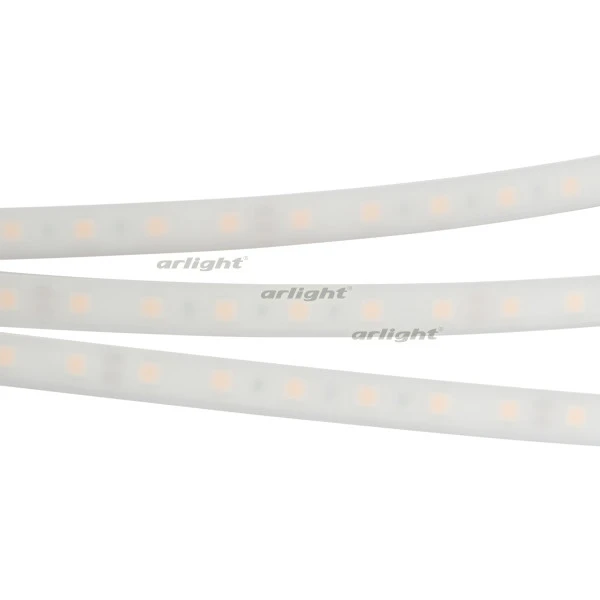 Светодиодная лента Arlight 016181(2) B60 PW Светодиодная лента Arlight 016181(2) B60 PW