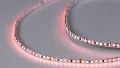 Светодиодная лента LUX для мясных продуктов, 140 LED/м, 14,4 Вт/м, 24В, IP33, Теплый белый (1800-2000K) SWG DSG2140-24-MT-33 Food Светодиодная лента LUX для мясных продуктов, 140 LED/м, 14,4 Вт/м, 24В, IP33, Теплый белый (1800-2000K) SWG DSG2140-24-MT-33 Food