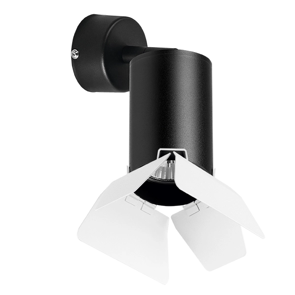 Накладной светильник Lightstar RB437436 Rullo Накладной светильник Lightstar RB437436 Rullo