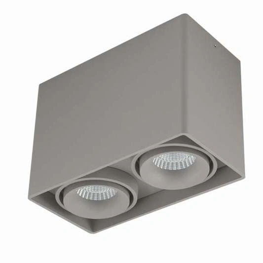 Потолочный светильник Donolux DL18611/02WW-SQ Silver Grey DL18611 Потолочный светильник Donolux DL18611/02WW-SQ Silver Grey DL18611