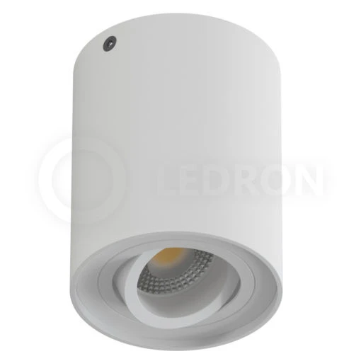 Накладной светильник LeDron HDL5600 White HDL-5600 Накладной светильник LeDron HDL5600 White HDL-5600
