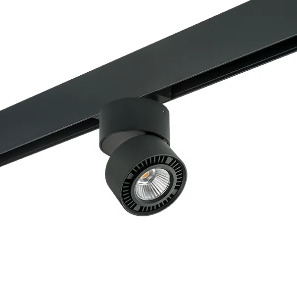 Комплект со светильником Lightstar PRO214817 Forte Muro Комплект со светильником Lightstar PRO214817 Forte Muro