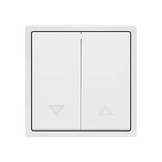 Двухклавишный жалюзийный выключатель LeDron 2 Gang Curtain Switch White Двухклавишный жалюзийный выключатель LeDron 2 Gang Curtain Switch White