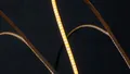 Светодиодная лента SWG SWG-COB400-24-4.8-WW SWG-FLEX Светодиодная лента SWG SWG-COB400-24-4.8-WW SWG-FLEX