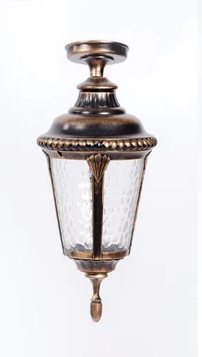 Потолочный светильник уличный Oasis Light 79755SA Gb MUNICH 2S Потолочный светильник уличный Oasis Light 79755SA Gb MUNICH 2S