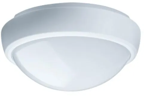 Настенно-потолочный светильник Gauss 142411212-S 142411