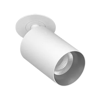 Встраиваемый поворотный светодиодный светильник Ledron SAGITONY R BASIC S60 White-Grey