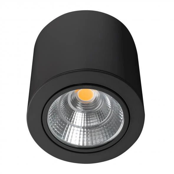 Накладной светильник Arlight 029538 Накладной светильник Arlight 029538
