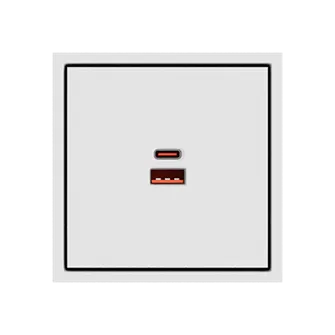 Зарядное устройство USB типа A+С LeDron USB Socket A+C 65W White