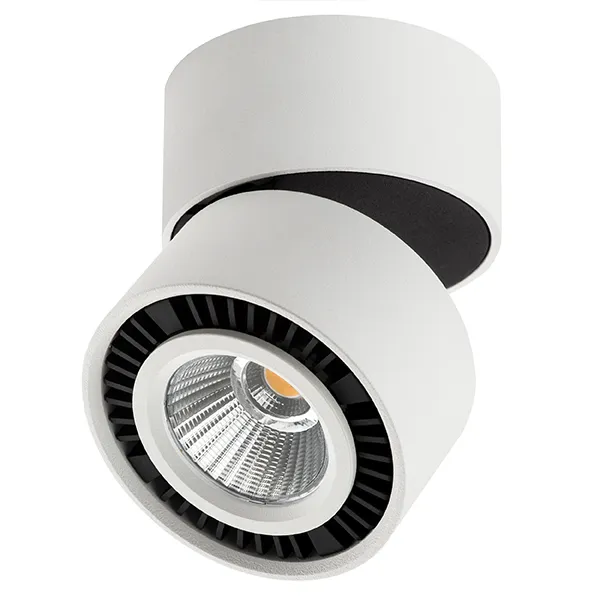 Накладной светильник Lightstar 213816 FORTE MURO Накладной светильник Lightstar 213816 FORTE MURO