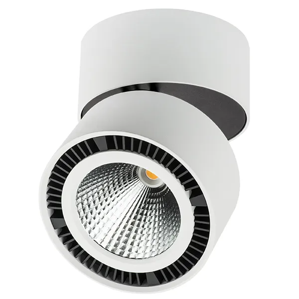 Встраиваемый светильник Lightstar 213850 FORTE MURO Встраиваемый светильник Lightstar 213850 FORTE MURO