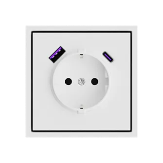 Розетка одинарная с заземлением с USB-портом для зарядки Type A + Type C LeDron EU Socket with USB A+C 20W White