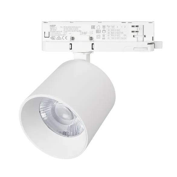 Светильник LGD-DYKE-4TR-R100-36W Day4000 (WH, 38 deg, 230V) Arlight 052290