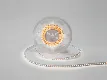 Светодиодная лента DSG 2835 NW 120L-V24-IP33, 4000K, 120 LED, 9,6 W/m, LUX SWG DSG2120-9.6-24-NW-33 Светодиодная лента DSG 2835 NW 120L-V24-IP33, 4000K, 120 LED, 9,6 W/m, LUX SWG DSG2120-9.6-24-NW-33