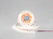 Светодиодная лента IP33 теплое белое свечение SWG DSG5120-24-WW-33 