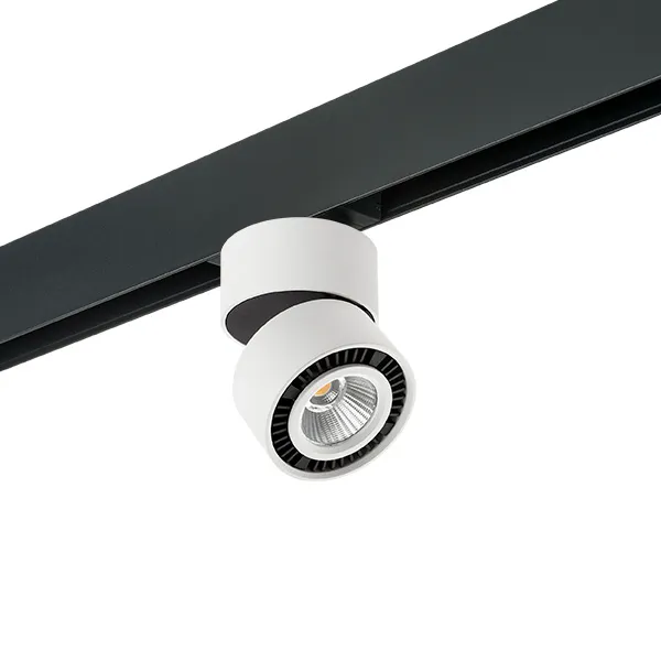 Комплект со светильником Lightstar PRO213816 Forte Muro Комплект со светильником Lightstar PRO213816 Forte Muro