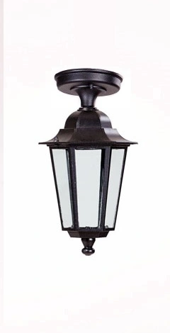 Потолочный светильник уличный Oasis Light 79805SA Bl PETERSBURG S Потолочный светильник уличный Oasis Light 79805SA Bl PETERSBURG S