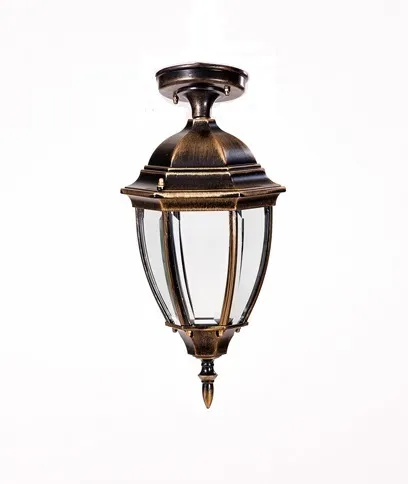 Потолочный светильник уличный Oasis Light 91205SA Gb ARSENAL S