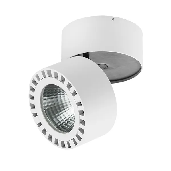 Уличные потолочные светильники Lightstar 381363 FORTE Уличные потолочные светильники Lightstar 381363 FORTE