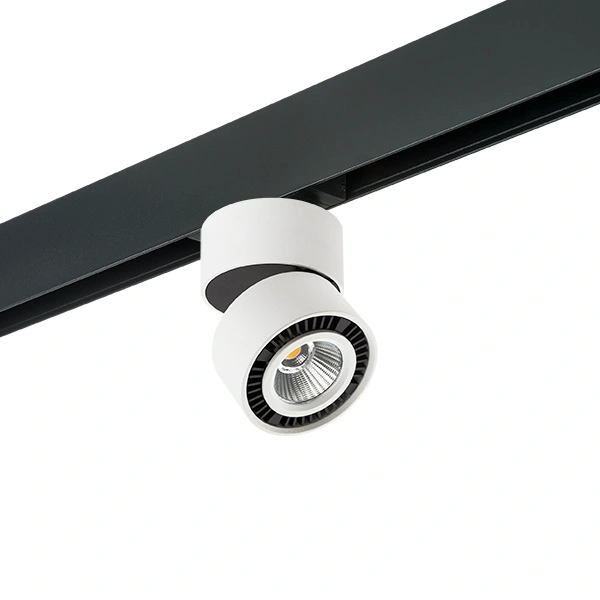 Комплект со светильником Lightstar PRO214816 Forte Muro Комплект со светильником Lightstar PRO214816 Forte Muro