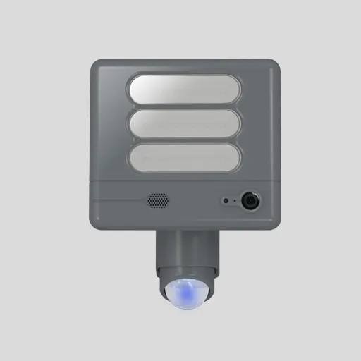 Прожектор уличный Oasis Light ST6255-CAM SS SECURY'LIGHT