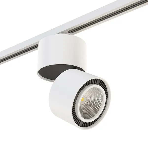 Трековый светильник Lightstar A1T214830 FORTE MURO Трековый светильник Lightstar A1T214830 FORTE MURO