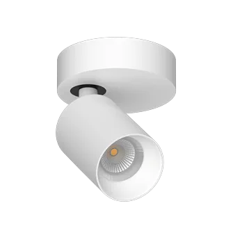 Накладной поворотный светодиодный светильник Ledron SAGITONY R1 S60 White