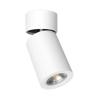 Накладной светильник LeDron AO1705001 White AO1705001(02)