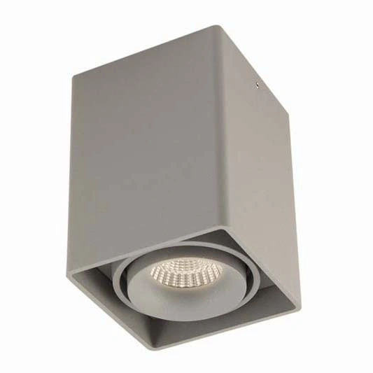Потолочный светильник Donolux DL18611/01WW-SQ Silver Grey DL18611 Потолочный светильник Donolux DL18611/01WW-SQ Silver Grey DL18611
