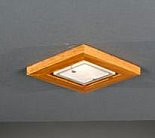 Потолочный светильник Reccagni Angelo SPOT 394/1.02 394