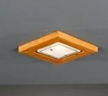 Потолочный светильник Reccagni Angelo SPOT 394/1.02 394