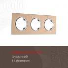 Рамка из алюминия на 3 поста Arte Milano 502.11-3.shampan am