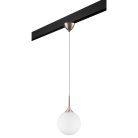 Комплект с подвесом Globo для трека PRO Lightstar PRO813033