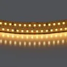 Лента теплого белого свечения 24V Lightstar 422003
