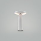 Аккумуляторная настольная лампа Freya FR6109TL-L4W Mushroom