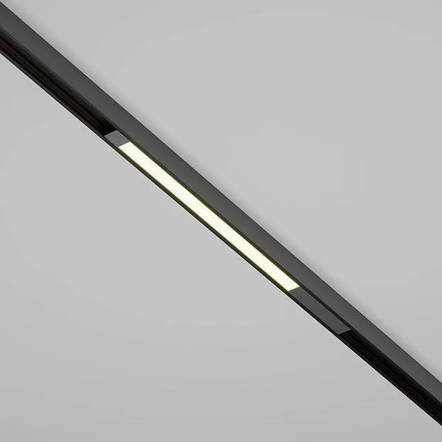 Трековый светильник Technical Maytoni TR231-2-10W4K-B