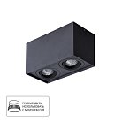 Светильник Потолочный Arte Lamp A5544PL-2BK FACTOR