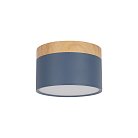 Накладной светильник Loft IT 10162 Blue Grape