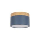 Накладной светильник Loft IT 10162 Blue Grape