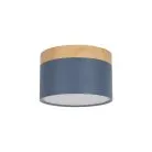 Накладной светильник Loft IT 10162 Blue Grape