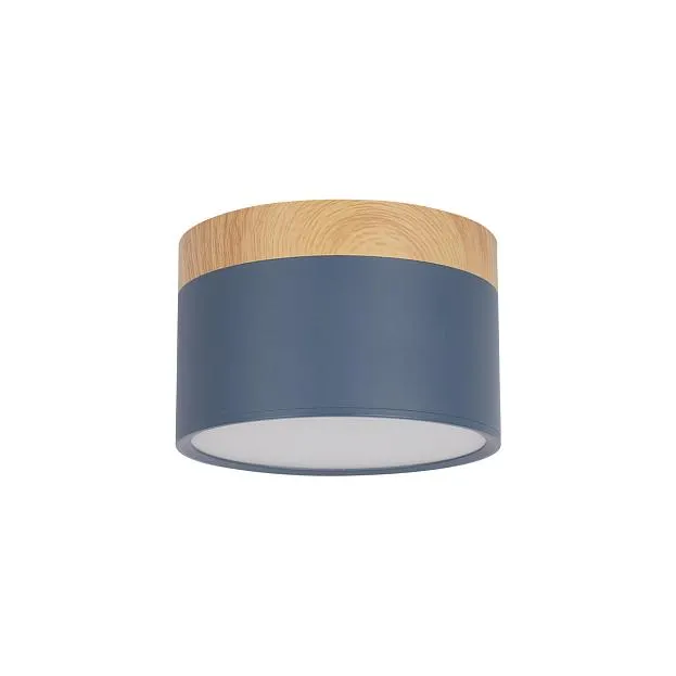 Накладной светильник Loft IT 10162 Blue Grape