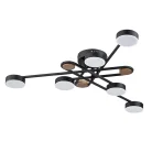 Потолочная люстра Arte Lamp A2455PL-6BK TAYGETA