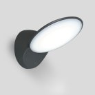 Настенный светильник уличный Oasis Light W1896-3K Gr