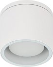 Точечный светильник ЭРА WL40 WH